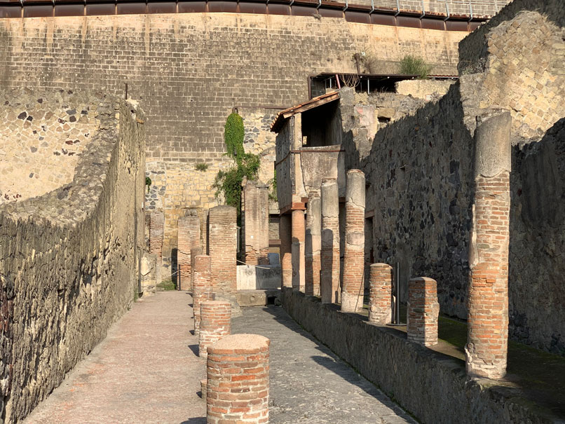 Pompei&Herculaneum with Your Archaeologist